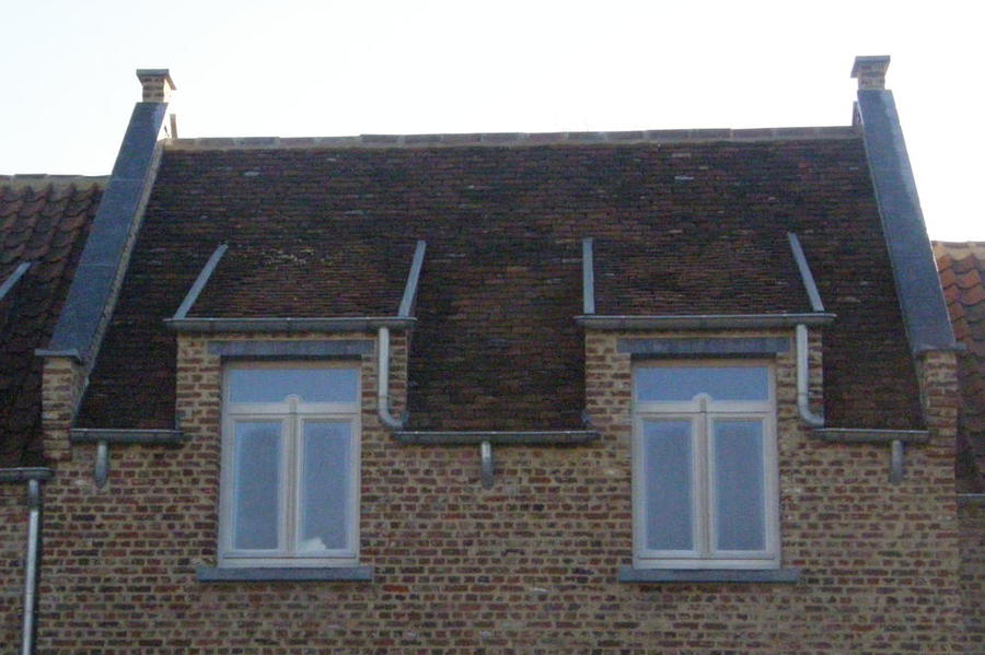 De Dakdekker Blankenberge landelijk dak